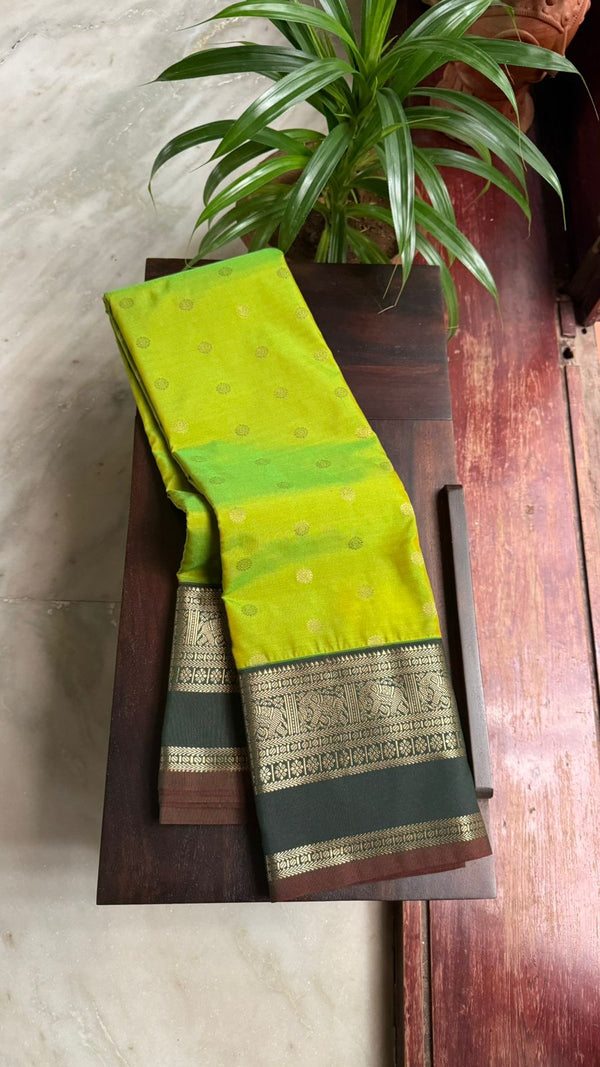 Vintage Citrus Green Kanjivaram